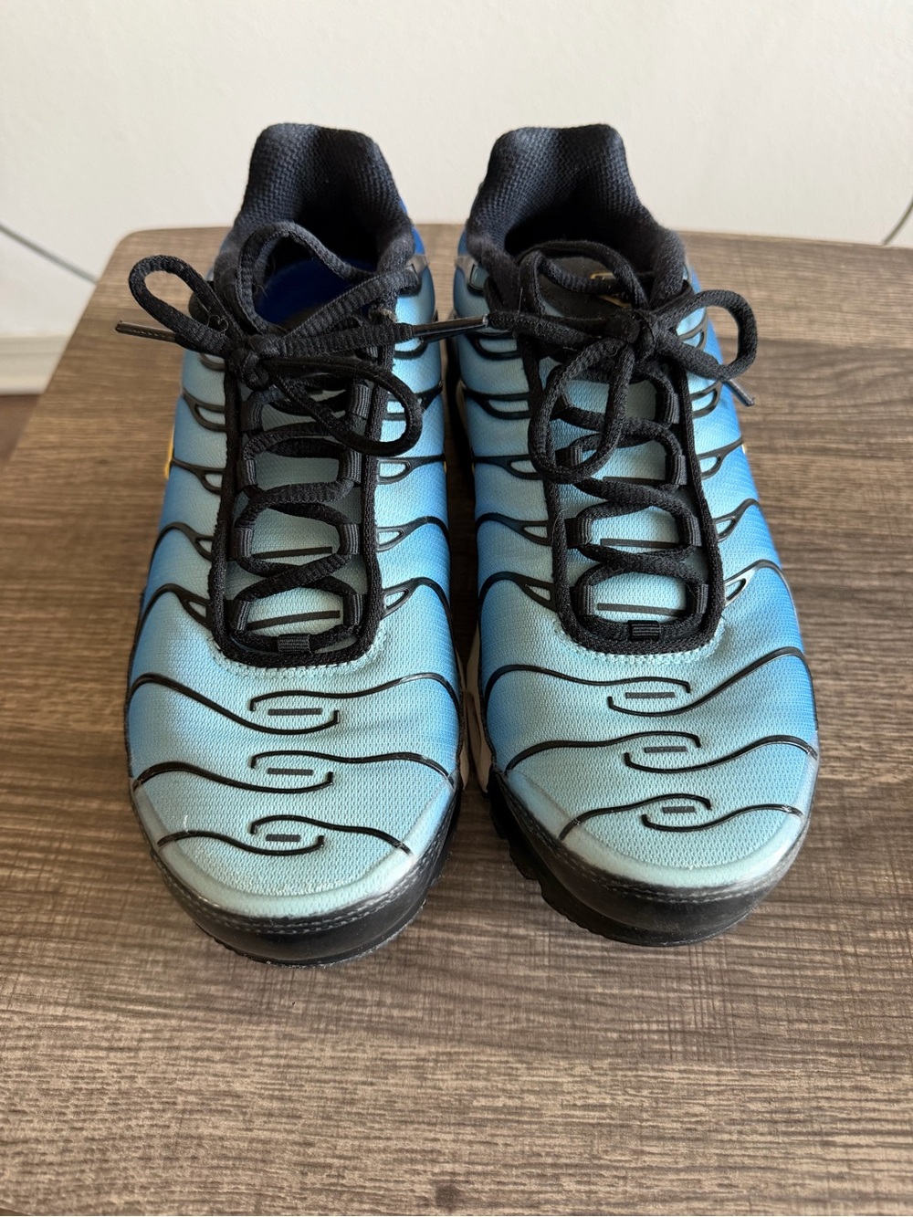 Nike Airmax Plus Blue Gradient Sneakers with Black Trim